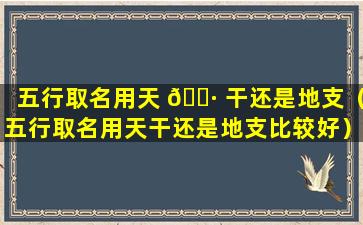 五行取名用天 🌷 干还是地支（五行取名用天干还是地支比较好）